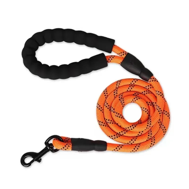 Reflective Dog Leash — Heavy-Duty Nylon
