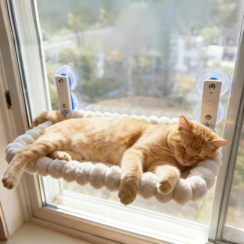 Cat relaxing on a PawPeak window perch