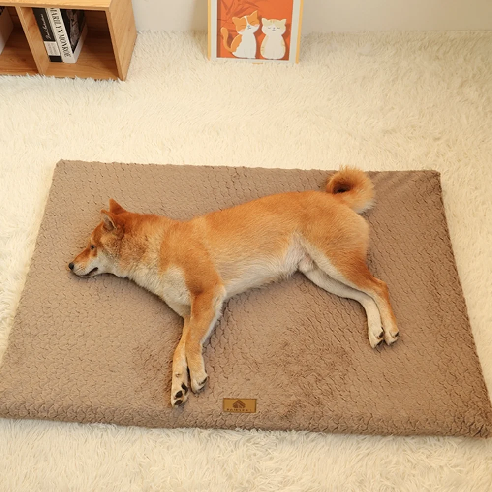 Orthopedic Dog Bed — Memory Foam with Washable Cover