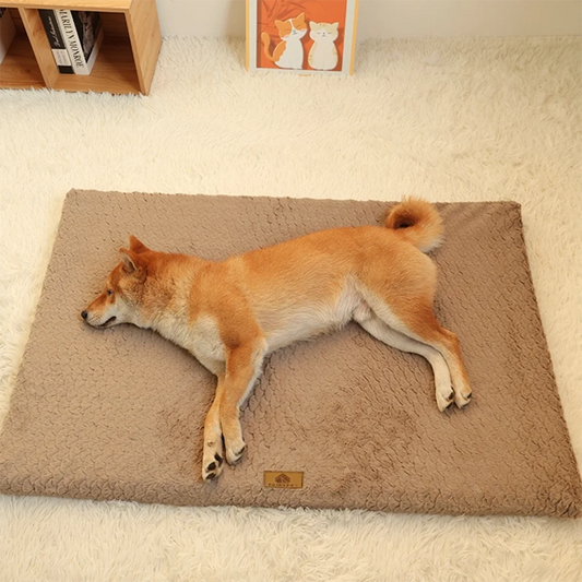 Orthopedic Dog Bed — Memory Foam with Washable Cover