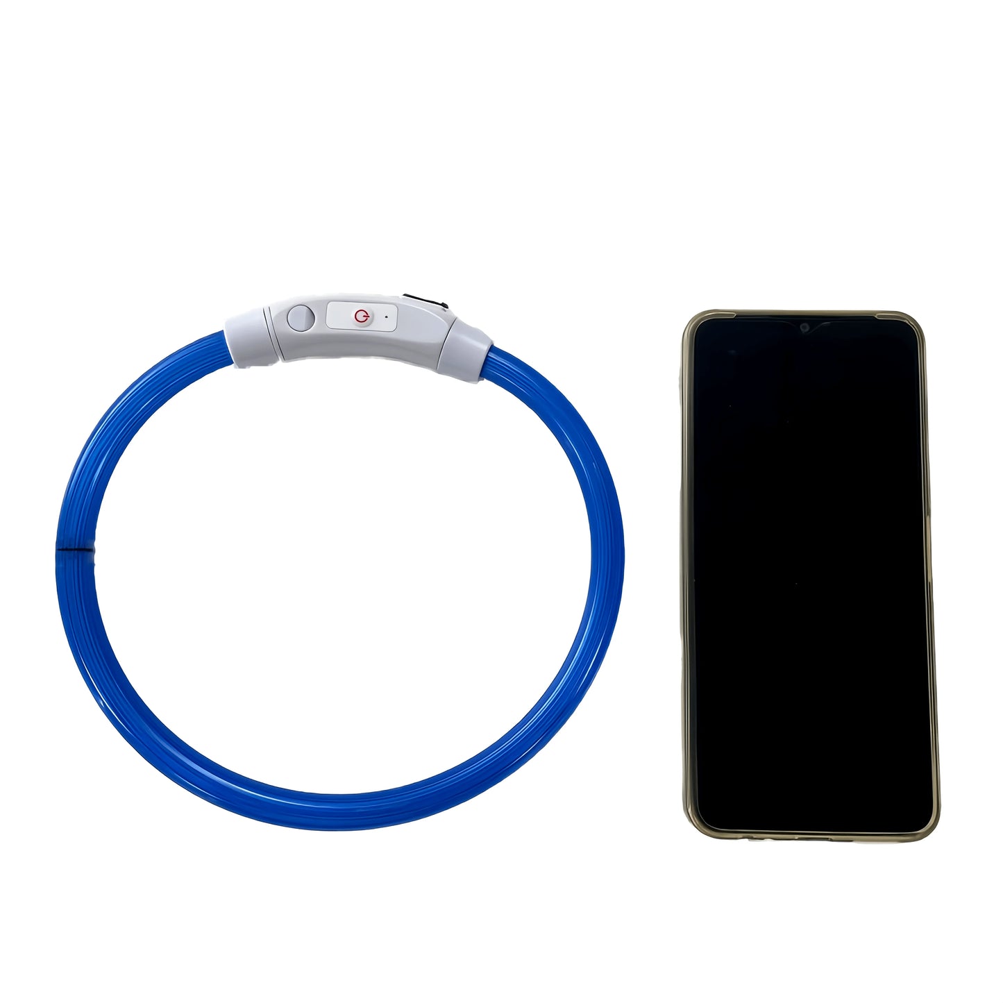 LED Safety Dog Collar — USB Rechargeable Glow