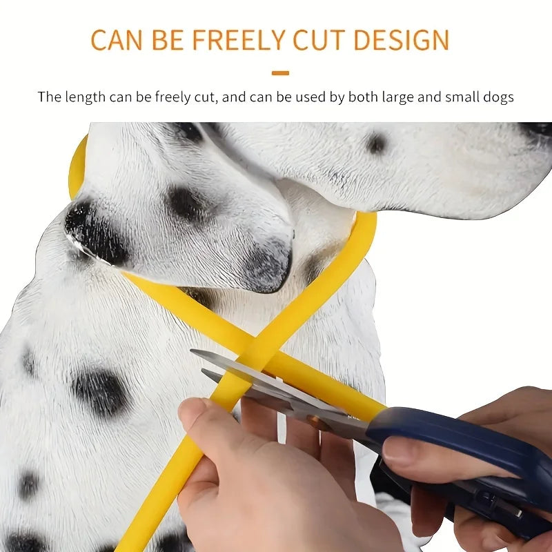 LED Safety Dog Collar — USB Rechargeable Glow