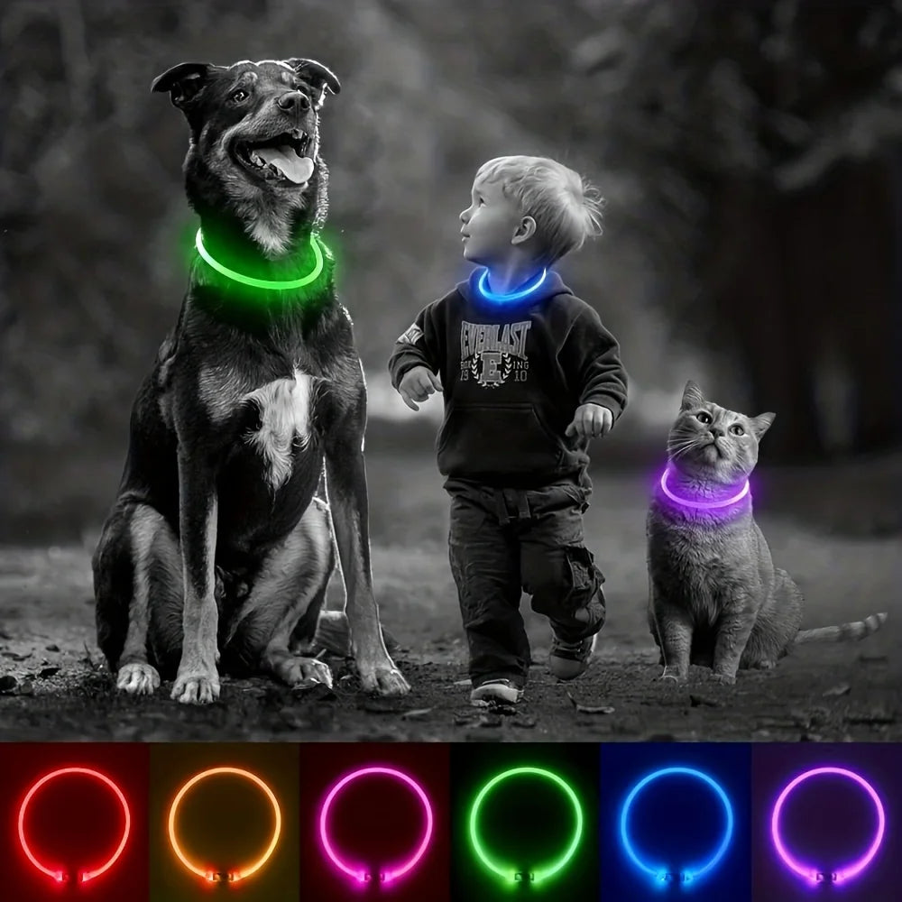 LED Safety Dog Collar — USB Rechargeable Glow