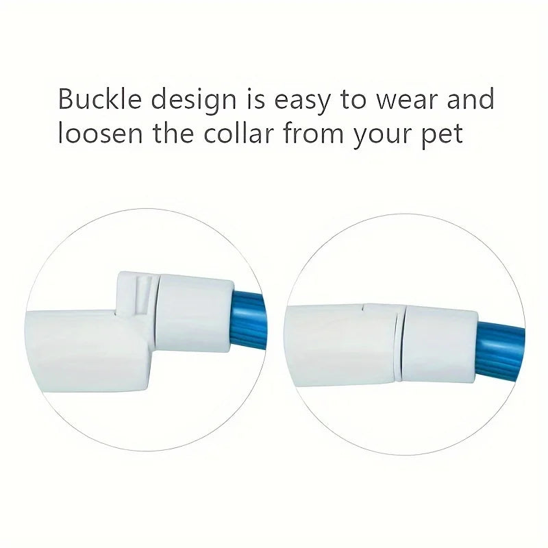 LED Safety Dog Collar — USB Rechargeable Glow