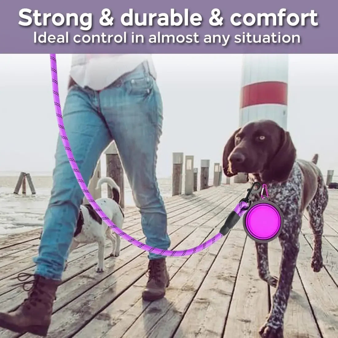 Reflective Dog Leash — Heavy-Duty Nylon