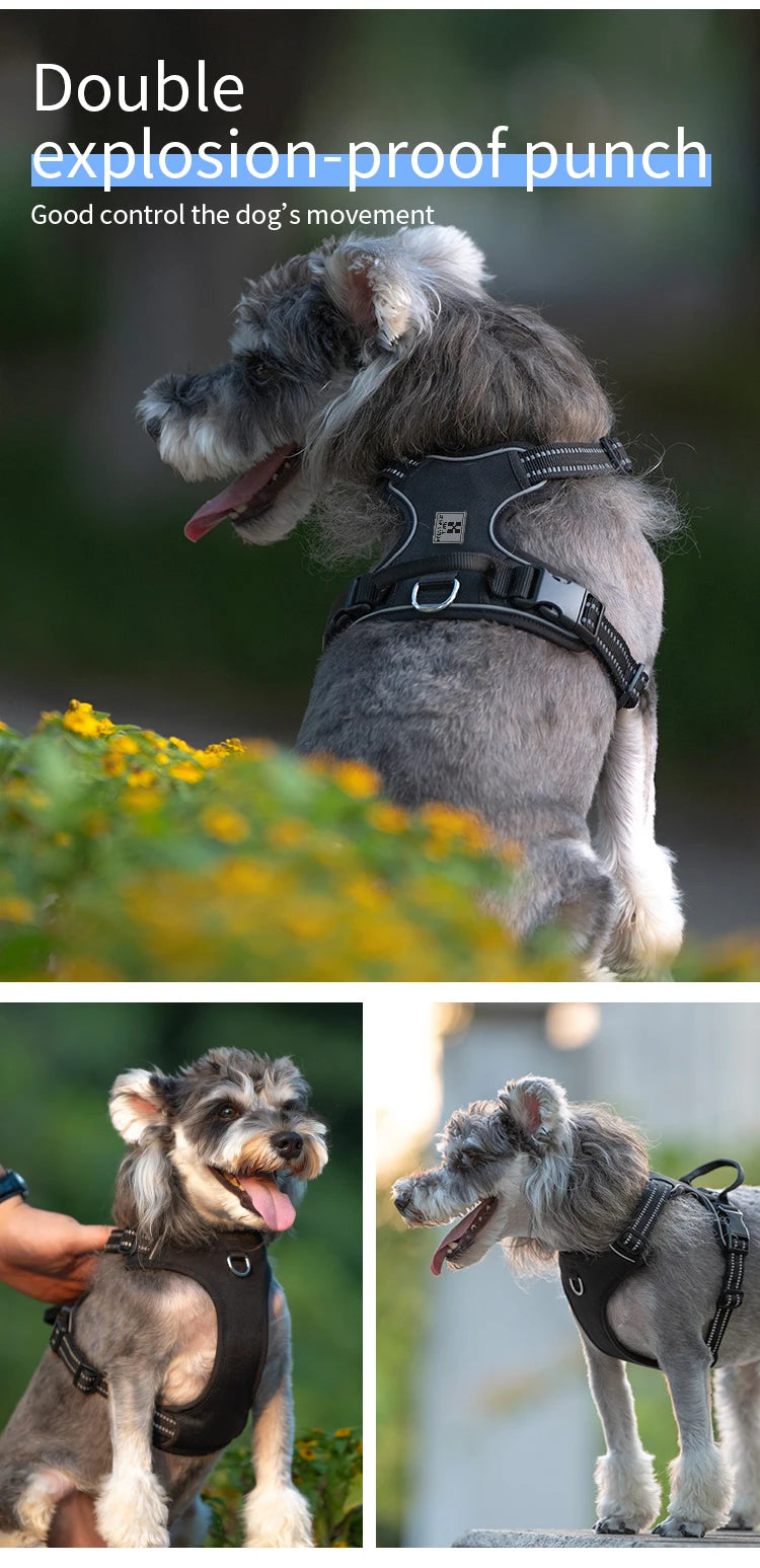 No-Pull Dog Harness — Reflective & Adjustable
