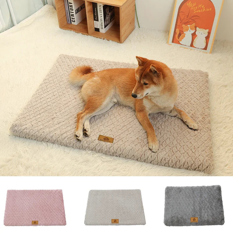 Orthopedic Dog Bed — Memory Foam with Washable Cover