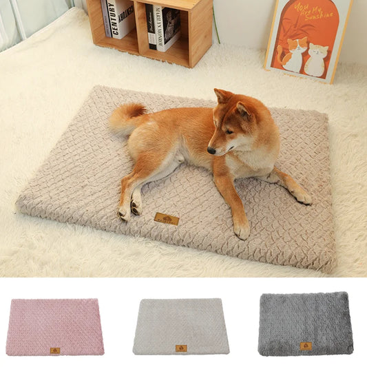 Orthopedic Dog Bed — Memory Foam with Washable Cover