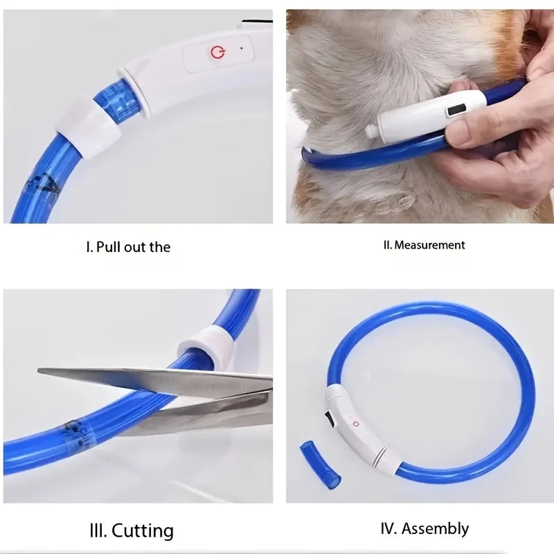 LED Safety Dog Collar — USB Rechargeable Glow