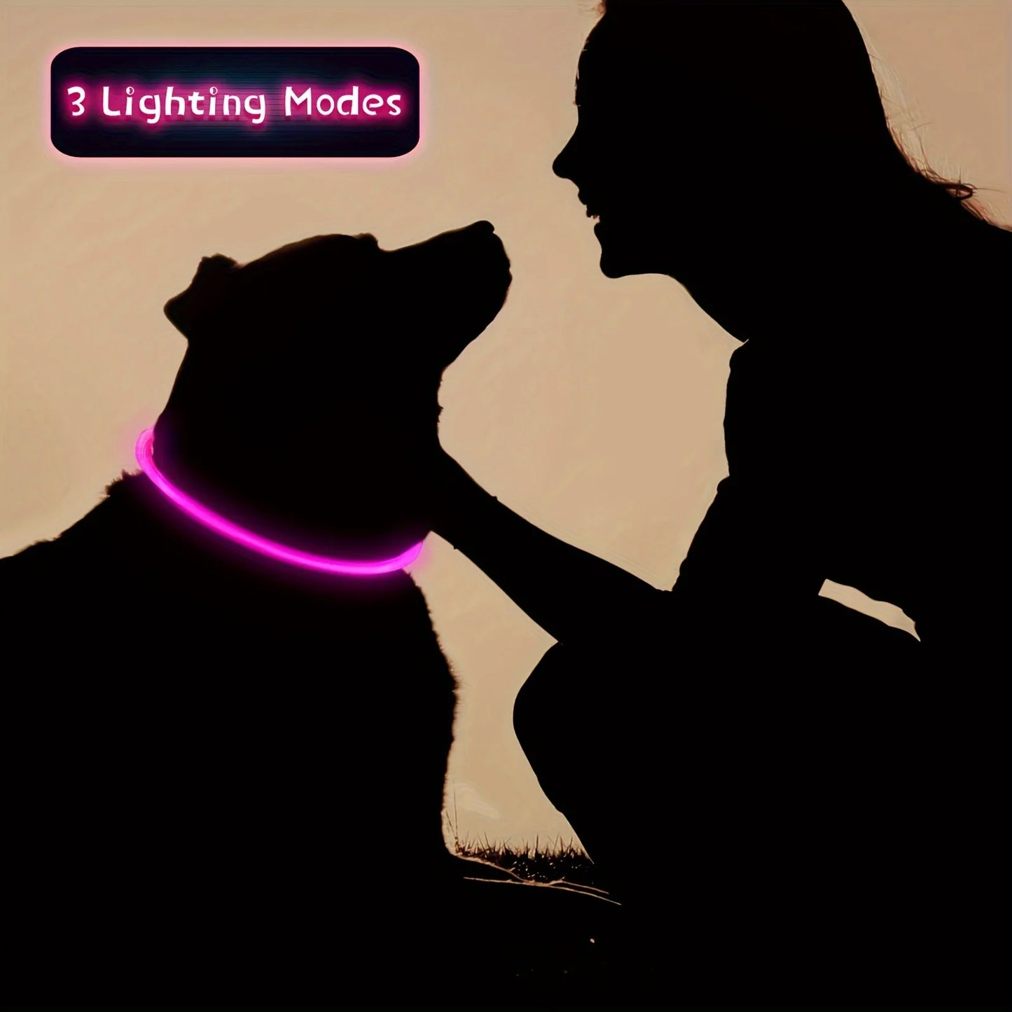 LED Safety Dog Collar — USB Rechargeable Glow