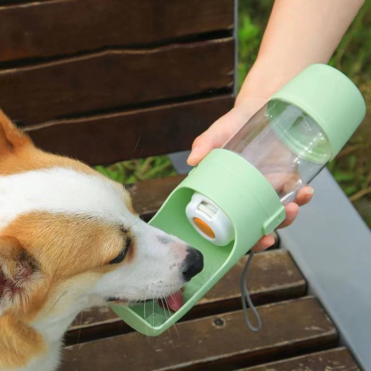 Portable Dog Water Bottle — Leak-Proof Squeeze Design