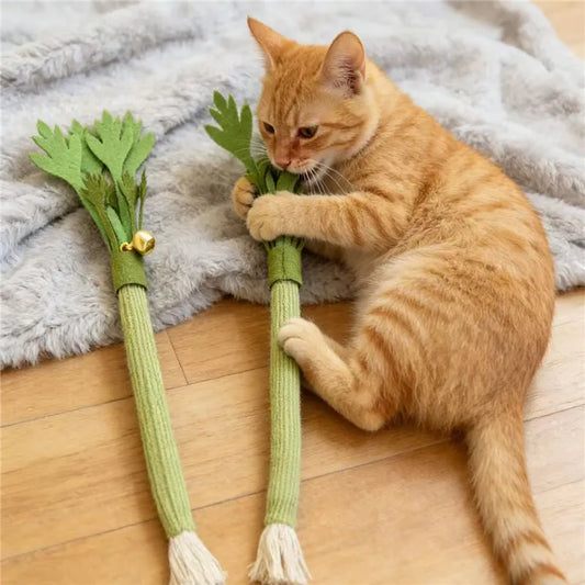 Cat Catnip Molar Stick — Chew & Dental Toy
