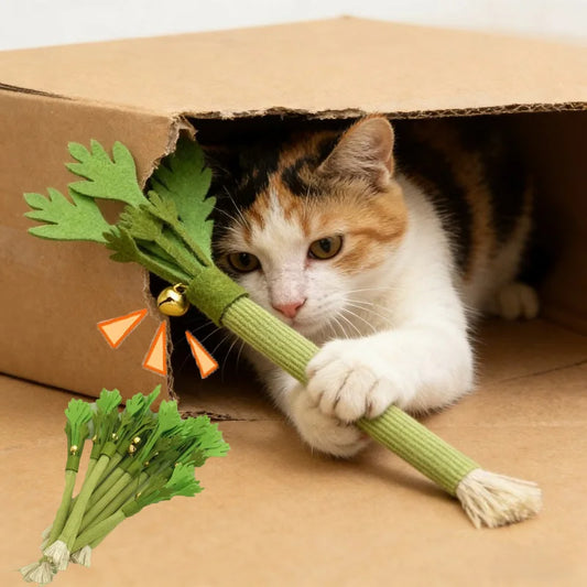 Cat Catnip Molar Stick — Chew & Dental Toy