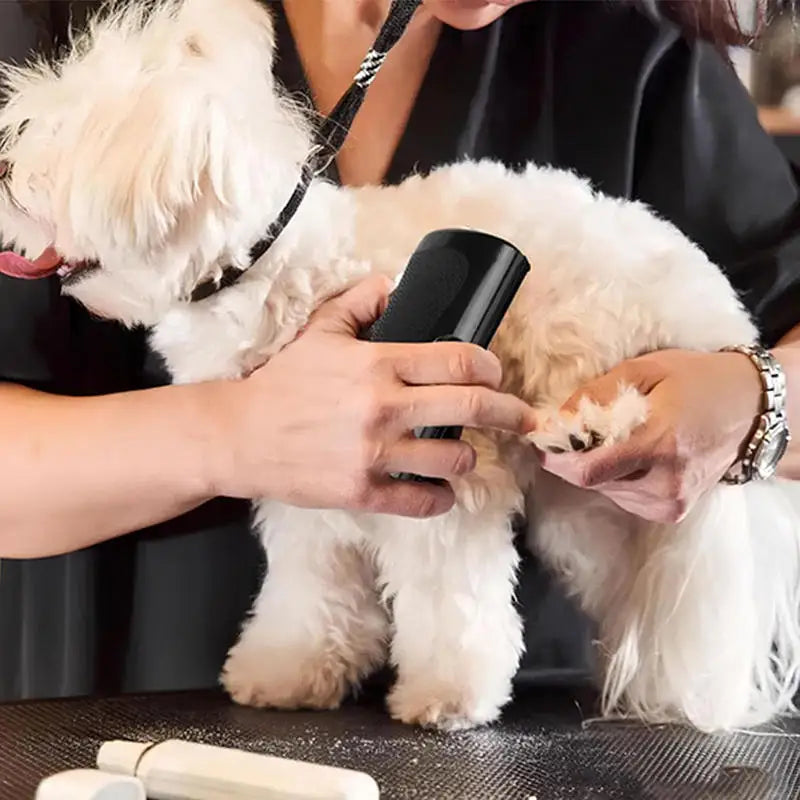 Pet Deshedding Grooming Brush — Professional Grade