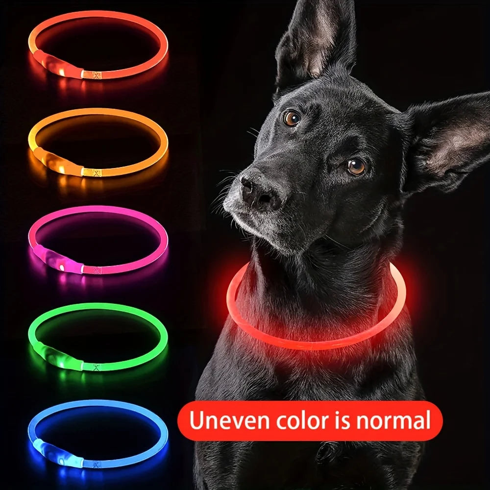 LED Safety Dog Collar — USB Rechargeable Glow