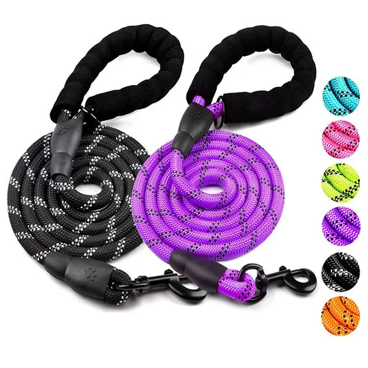 Reflective Dog Leash — Heavy-Duty Nylon