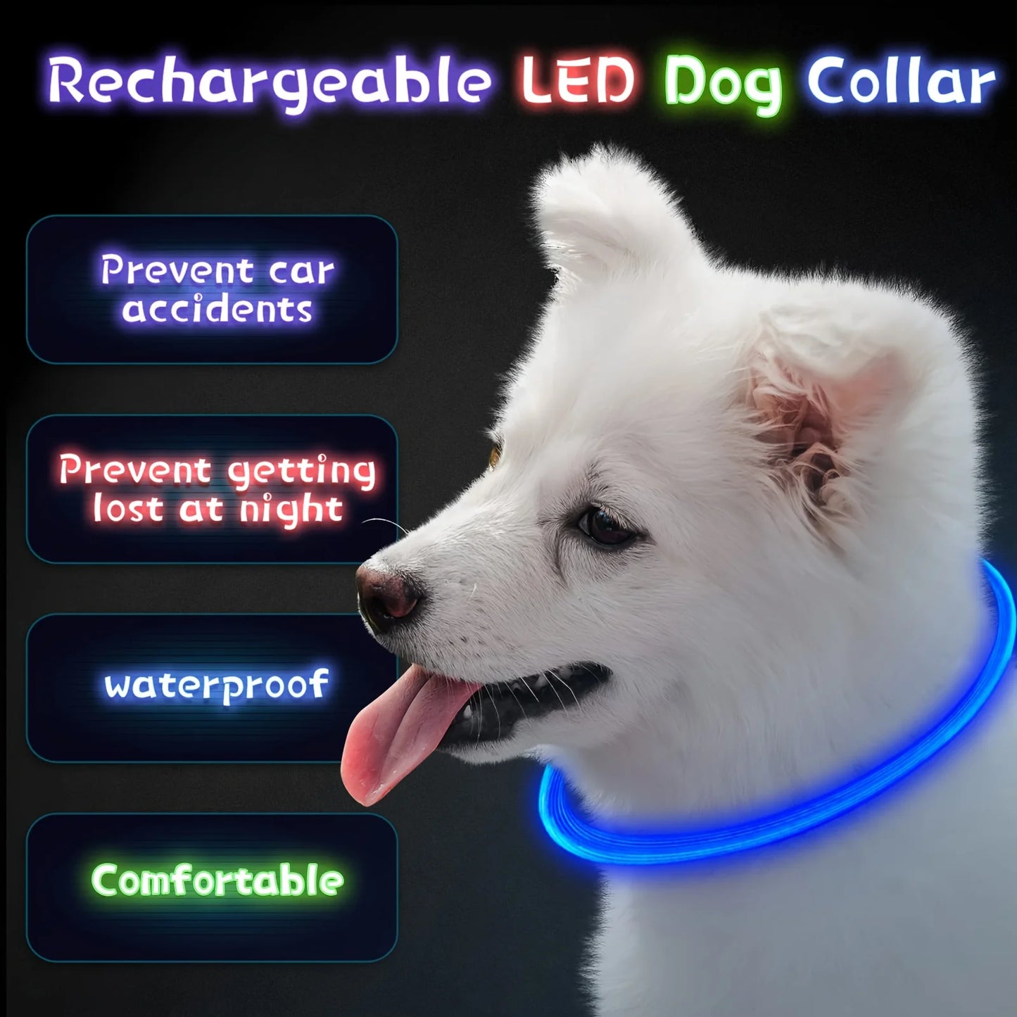 LED Safety Dog Collar — USB Rechargeable Glow