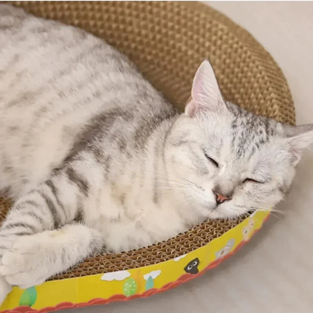Cat Cardboard Scratcher — Corrugated Lounge Pad