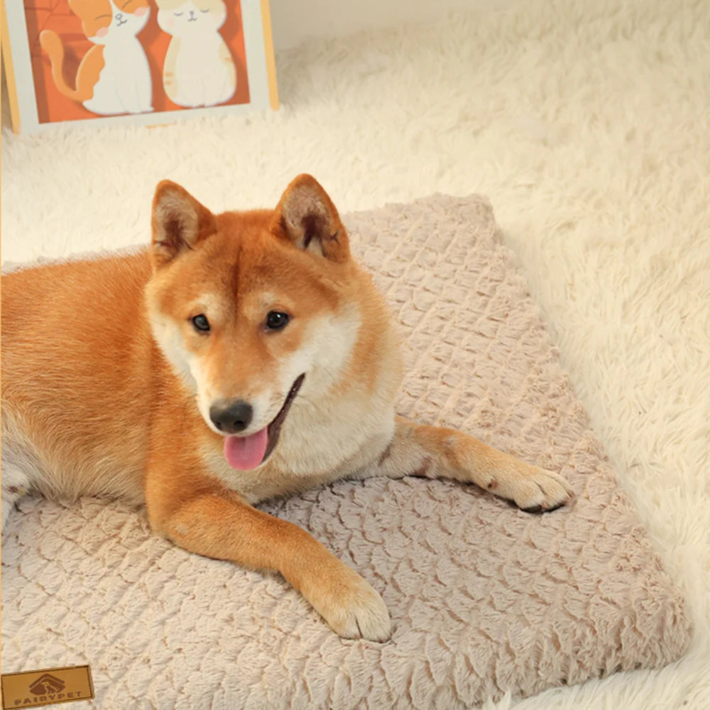 Orthopedic Dog Bed — Memory Foam with Washable Cover