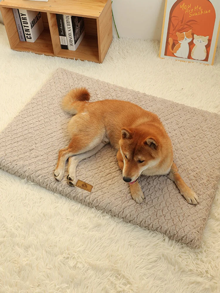 Orthopedic Dog Bed — Memory Foam with Washable Cover
