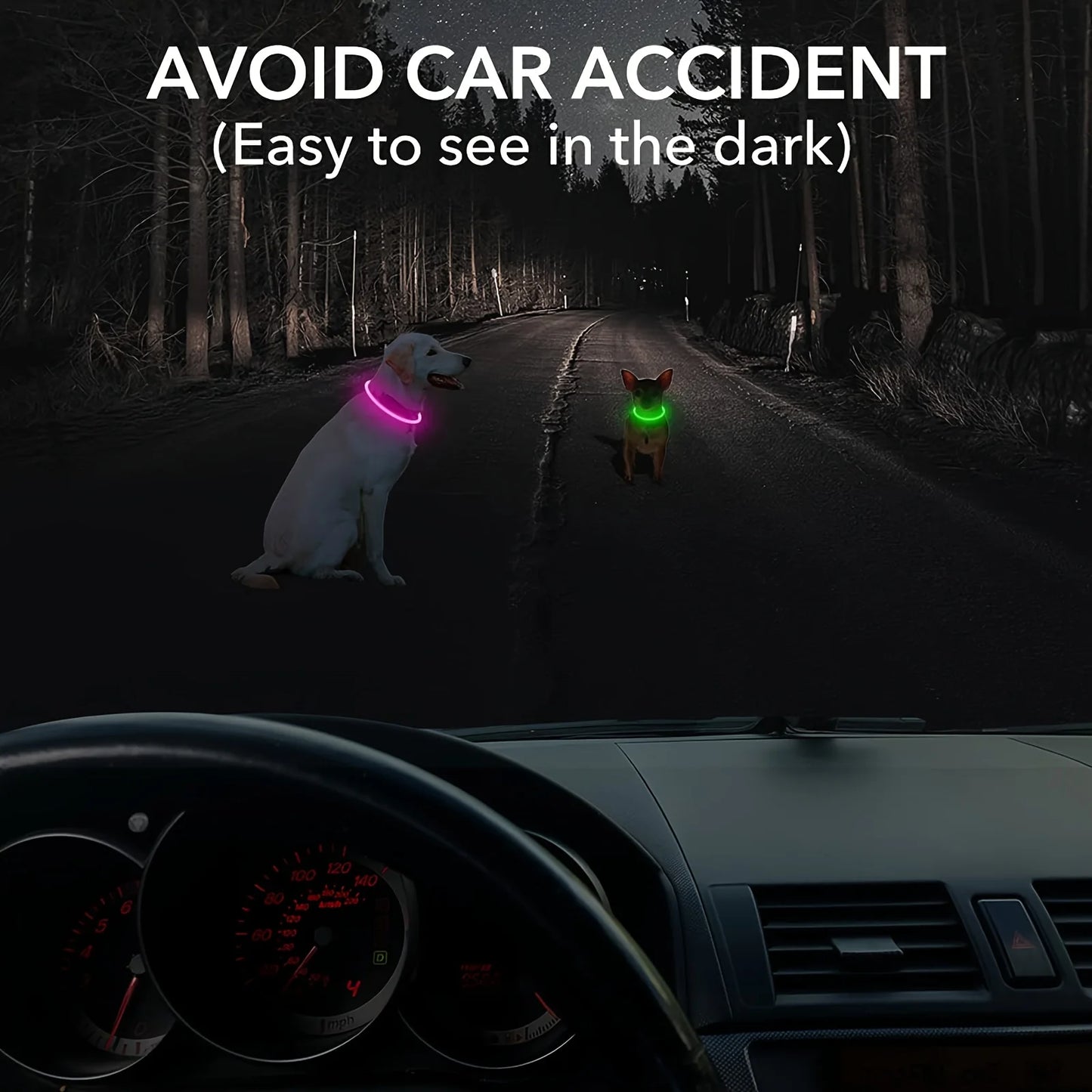 LED Safety Dog Collar — USB Rechargeable Glow