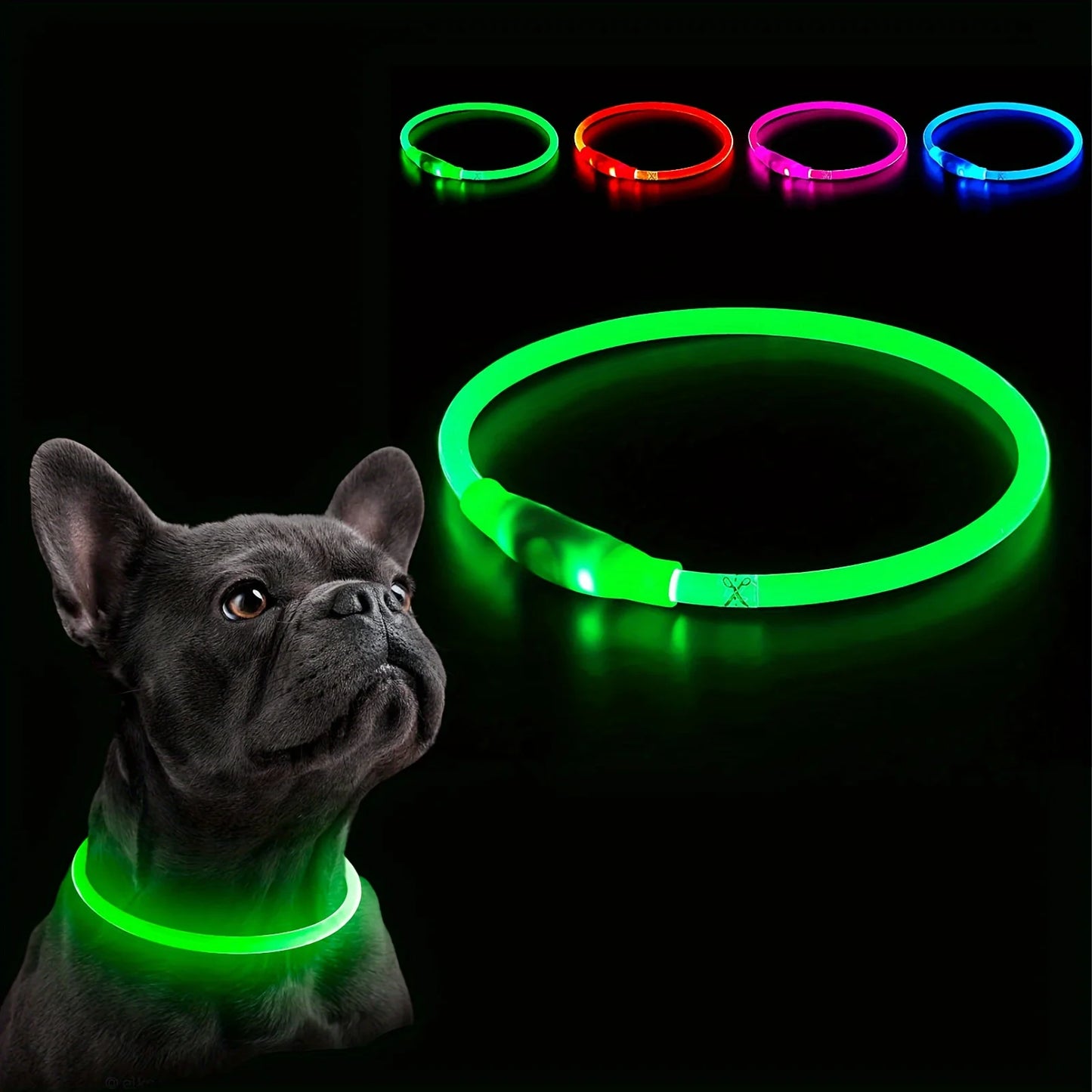LED Safety Dog Collar — USB Rechargeable Glow