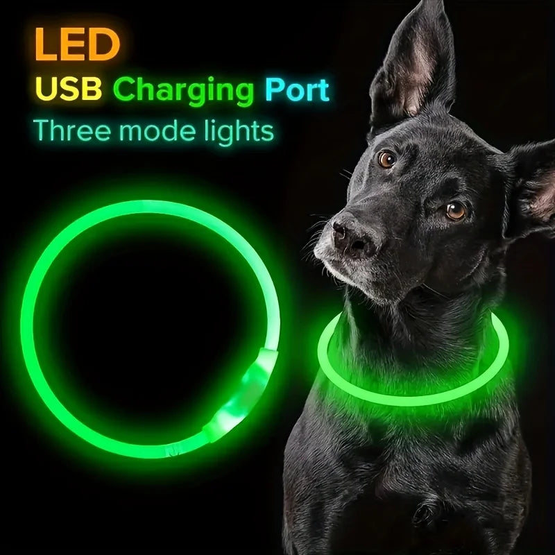 LED Safety Dog Collar — USB Rechargeable Glow