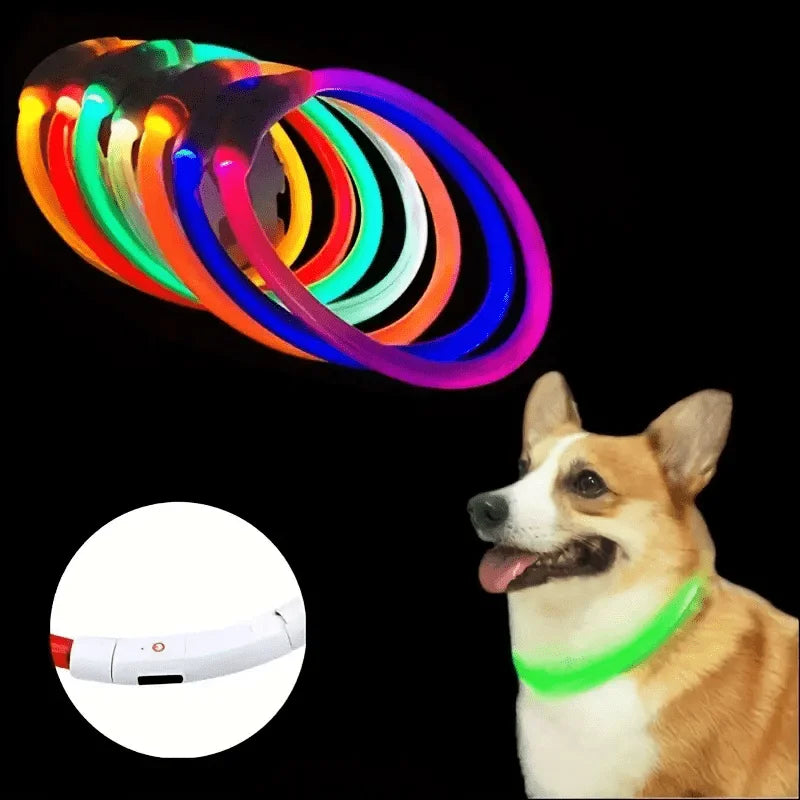 LED Safety Dog Collar — USB Rechargeable Glow