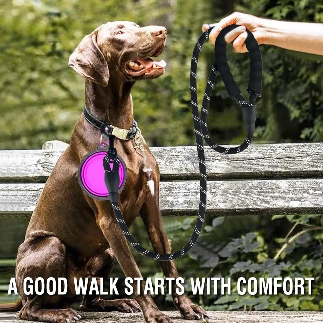 Reflective Dog Leash — Heavy-Duty Nylon
