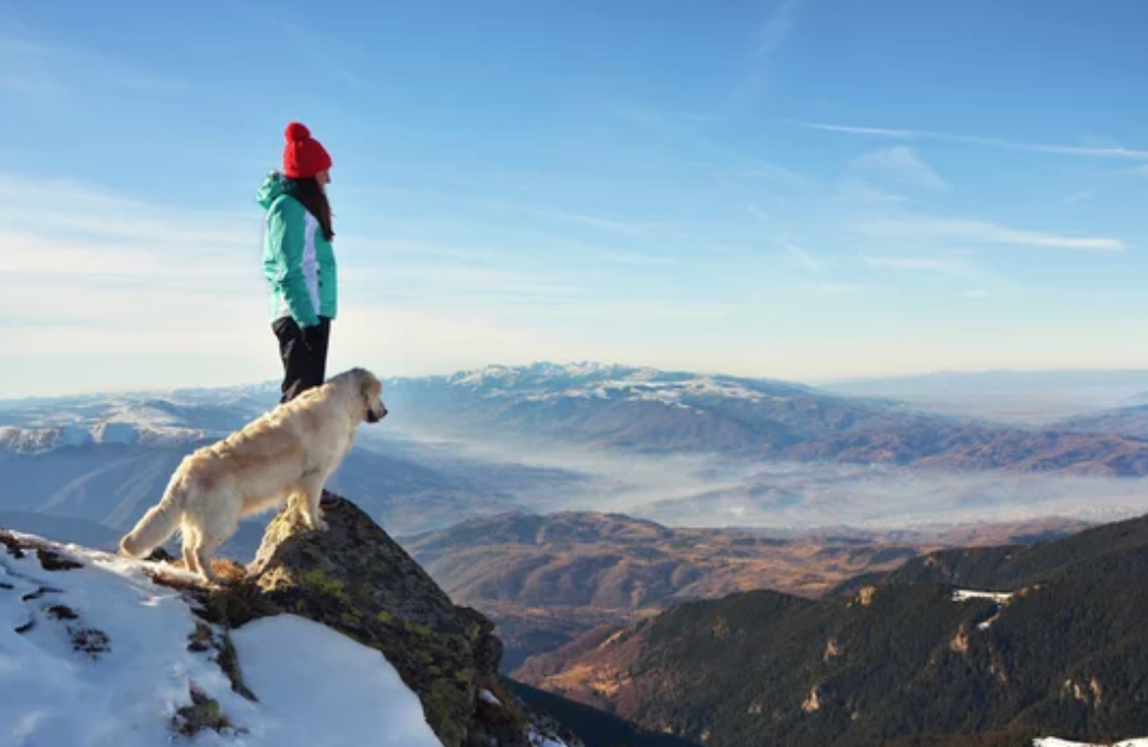 Woman and golden retriever standing on a mountain peak